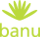 banu logo